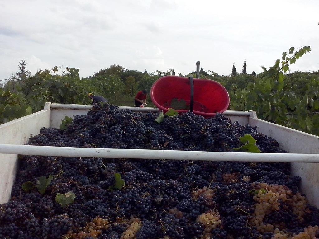 Agriturismo La Querce Rignano Sull Arno Bilik gambar