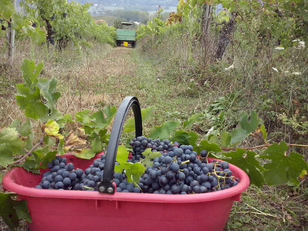 Agriturismo La Querce Rignano Sull Arno Bilik gambar