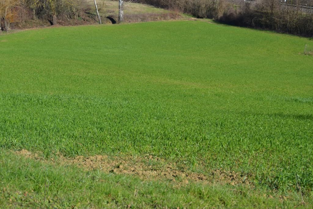 Agriturismo La Querce Rignano Sull Arno Bilik gambar