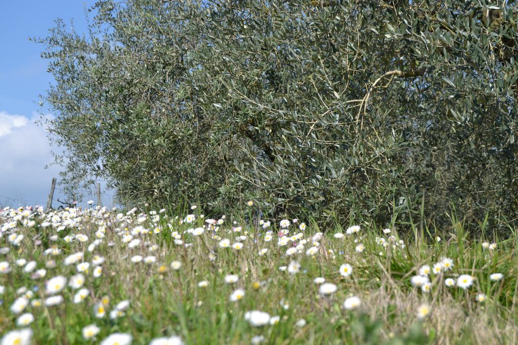 Agriturismo La Querce Rignano Sull Arno Luaran gambar