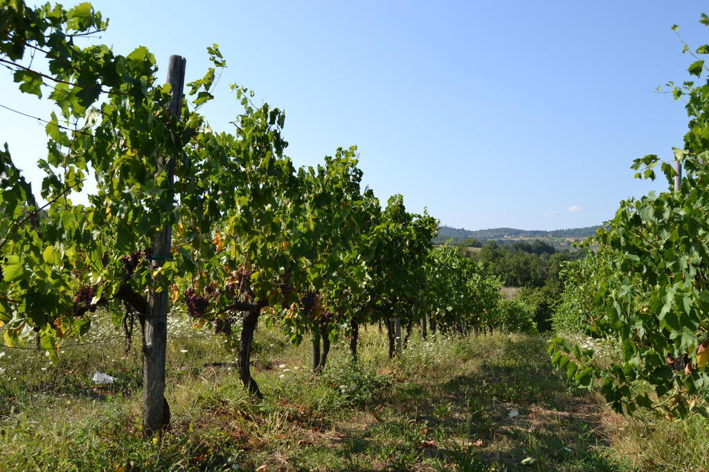 Agriturismo La Querce Rignano Sull Arno Luaran gambar