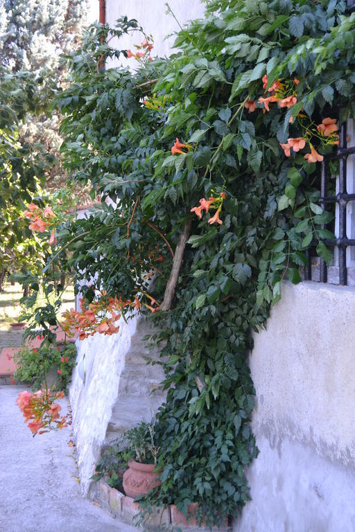 Agriturismo La Querce Rignano Sull Arno Luaran gambar