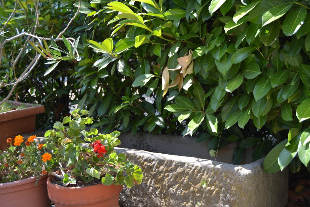 Agriturismo La Querce Rignano Sull Arno Luaran gambar