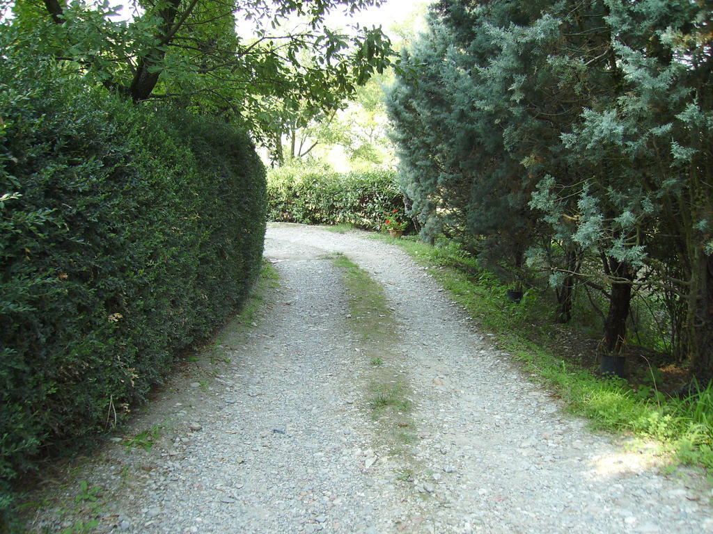 Agriturismo La Querce Rignano Sull Arno Luaran gambar