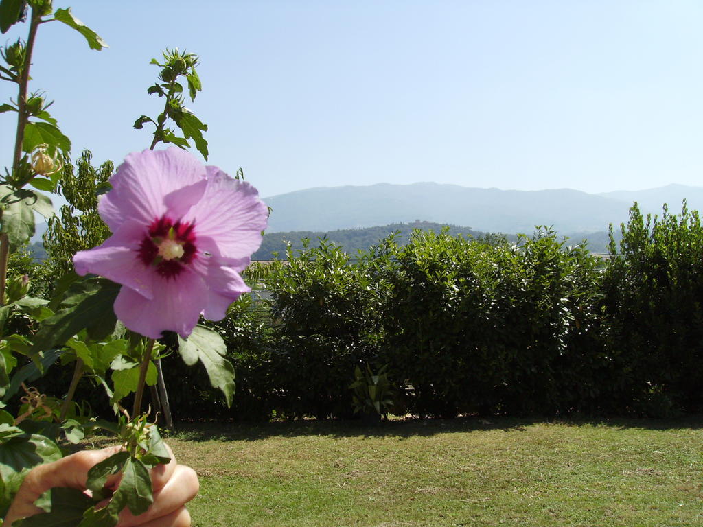 Agriturismo La Querce Rignano Sull Arno Luaran gambar